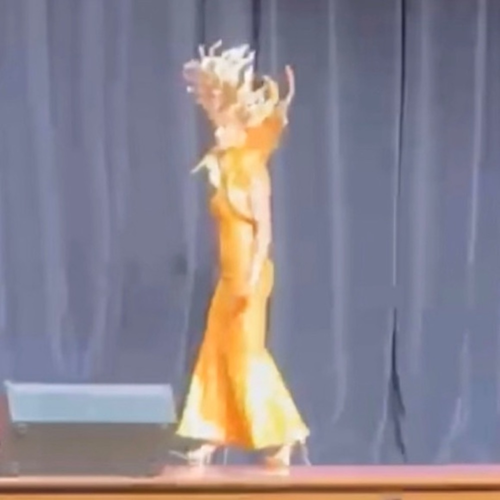 Sun Phoenix Gold costume with headdress backpiece, gloves and dress pageant